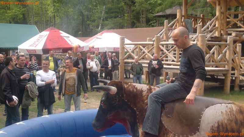 Byk Rodeo, Symulator Rodeo, Byk