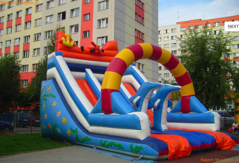 Zjeżdżalnia dmuchana Delfiny