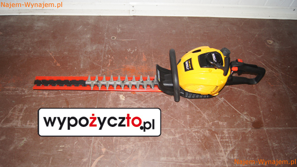 Spalinowe nożyce do żywopłotu