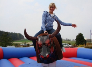 Symulator Rodeo